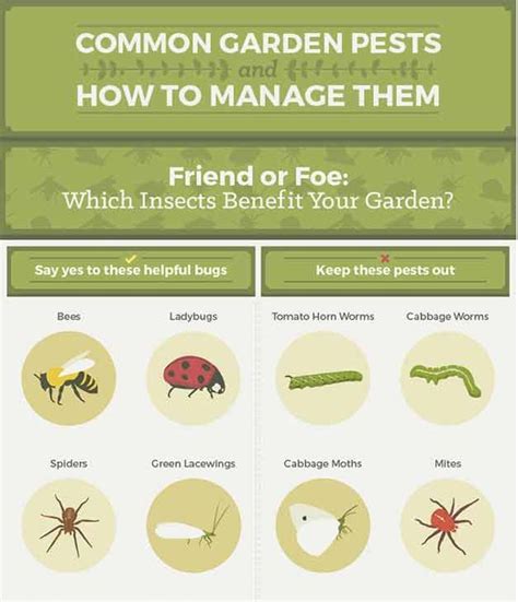 How To Manage Garden Pests Survival Life