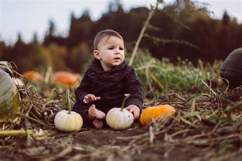 Pumpkin Patch Family Photos - Sparkfly Photography