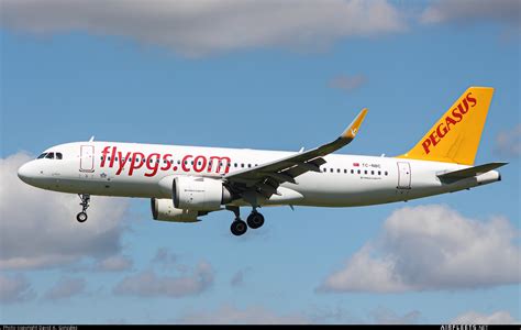 Pegasus Airlines Airbus A Tc Nbc Fhoto Airfleets Aviaci N