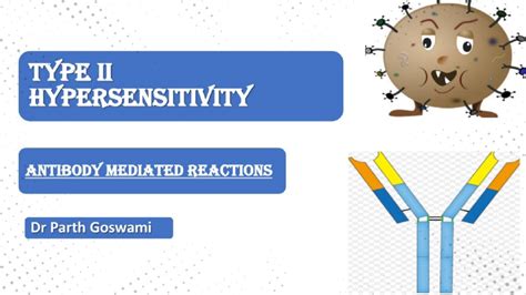 Type 2 Hypersensitivity Reaction Made Easy Mechanism And Examples