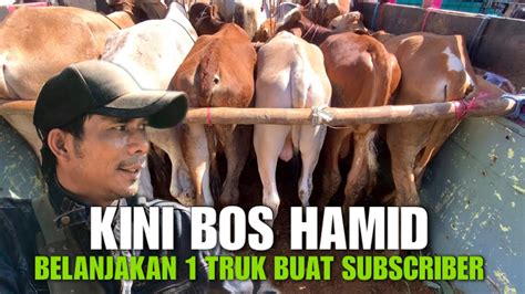 Pesanan Subscriber Jawa Barat Bos Hamid Belanja Sapi Ekonomisan Truk