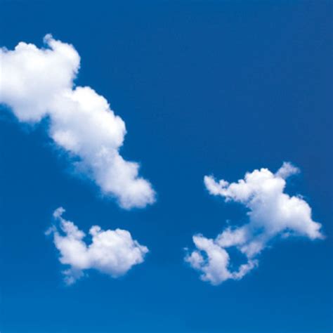 6 Steps On How Clouds Are Formed Sciencing