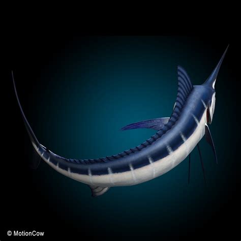 Marlin Motioncow