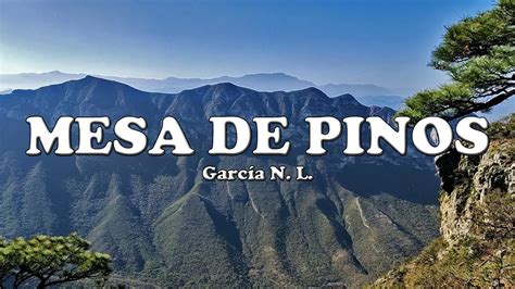 Mesa De Pinos Quien Dijo Que En Garcia Hay Solo Desierto La Gran