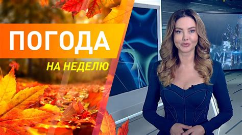 Погода на неделю 7-13 ноября 2022. Прогноз погоды. Беларусь | Метеогид ...