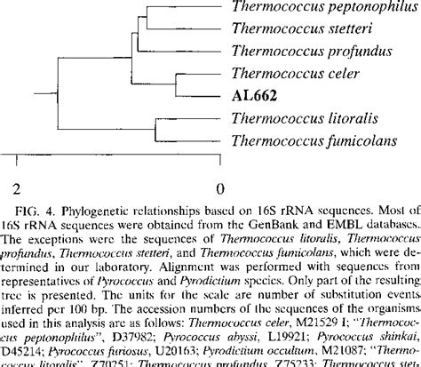 Thermococcus Litoralis