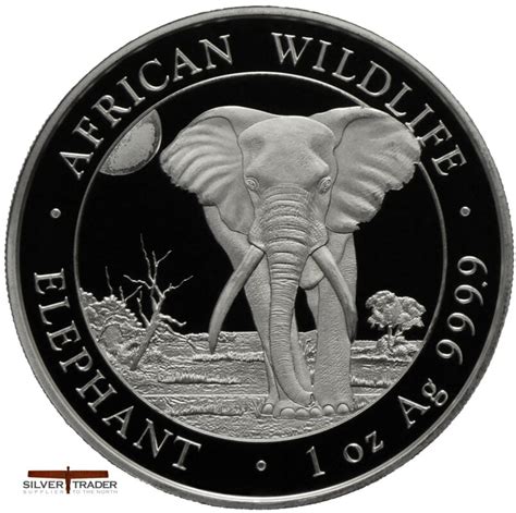 South African Krugerrand Oz Silver Bullion Coin