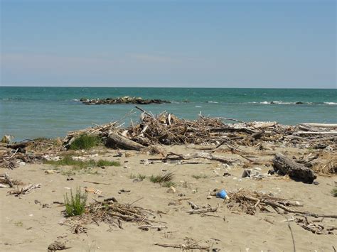 Visit Ravenna Beaches: Best of Ravenna Beaches Tourism | Expedia Travel
