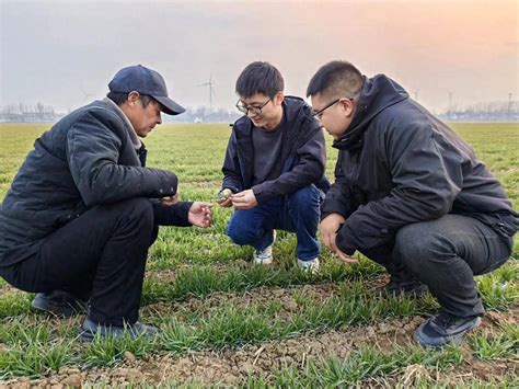 土地托管的两份“惊喜”——“从春管透视新质生产力”系列报道之四农业服务公司发展