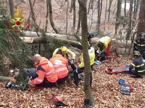 Si Ferisce Alla Gamba Con La Motosega Tagliando Una Pianta Gravissimo