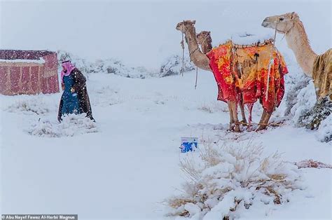 Ice blankets the Sahara desert while snow falls in Saudi Arabia where temperature has dropped to ...