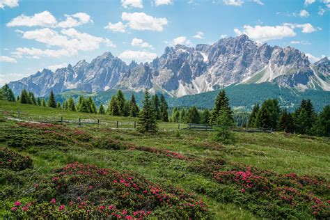 Sextner Almwanderung Zur Nemesalm Mit Mega Dolomiten Panorama