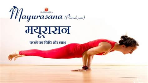 Health Benefits Of Mayurasana Yoga Shubhaurlabh