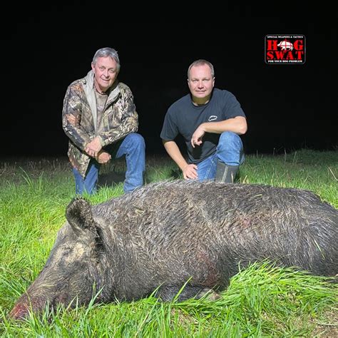 Night Hog Hunting In Georgia Hog S W A T Guided Night Hog Hunt