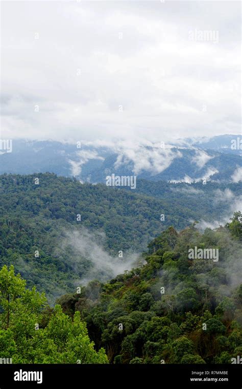 Tropical Mountain Range View View Of Moving Clouds And Fog Over