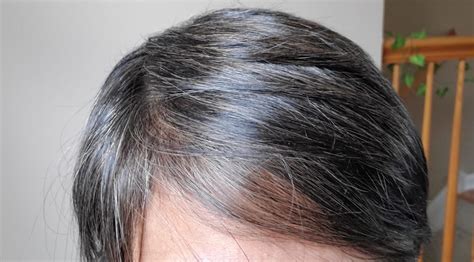 How To Go Gray With Semi Permanent Hair Color Sparklingsilvers