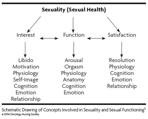 Health Understanding Sexuality Cheap Sale