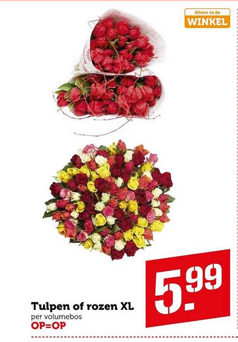 Tulpen Of Rozen XL Aanbieding Bij Coop 1Folders Nl