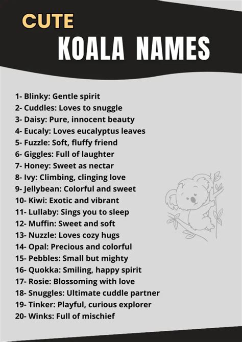 Koala Names Generator [340+ Fun & Meaningful Ideas]