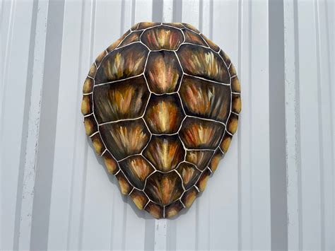 Hand Painted 16 Inch Hawksbill Turtle Shell Half Sided Mount Replica Reproduction