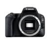 Lustrzanka Canon Eos D Body Czarny Opinie Cena Rtv Euro Agd