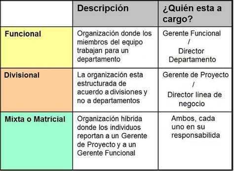 Tipos De Estructura Organizacional 19992 Hot Sex Picture