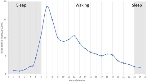 Circadian Cortisol Secretion Pattern Lovallo And Thomas 2012 Download Scientific Diagram