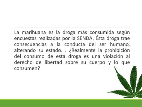 Legalización De La Marihuana Presentación