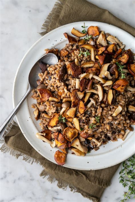 Farro Mushroom Risotto With Spice