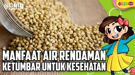 Simak Manfaat Rendaman Ketumbar Dan Kayu Manis Manfaat Khasiat Rahasia