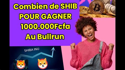 Stratégie Shiba Inu Combien Investir pour Gagner des Millions au