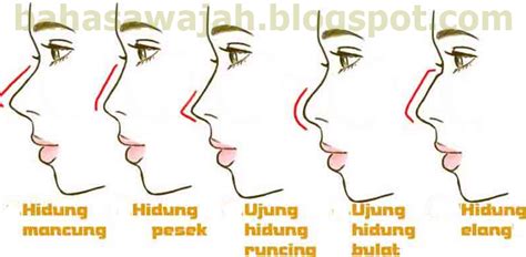 Rahasia Bentuk Hidung dan Watak Pemiliknya - Bahasa Wajah