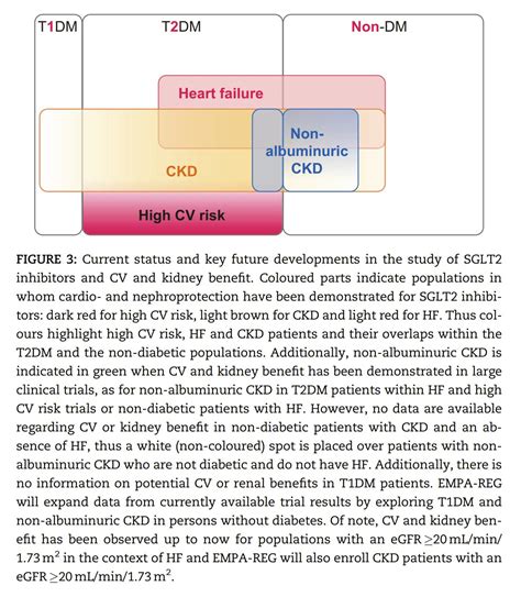 Edgar V Lerma On Twitter Sglt Inhibitors For Non Diabetic Ckd Ca