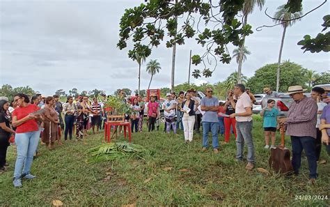 Mst Planta Rvores No Dia Mundial Da Gua Mst