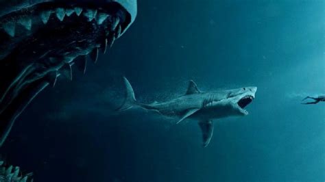 O Assustador Megalodon O Maior Tubarão Que Já Nadou Nos Oceanos