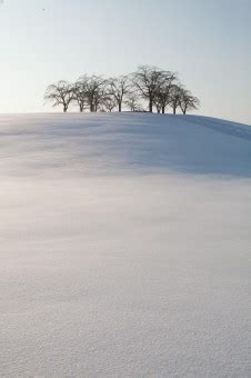 Free fotobanka strom horizont hora sníh zima mrak nebe pole