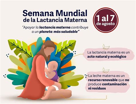 Cronograma De Actividades Por La Semana Mundial De La Lactancia Materna