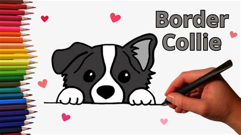 How To Draw A Border Collie Step By Step Guide For Beginners Border