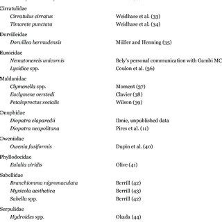 General outer anatomy of the anterior part of polychaete. Note that ...