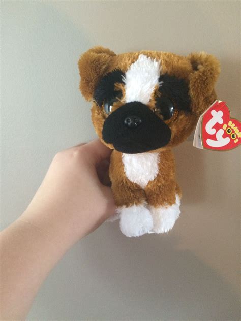 Brutus Ty Beanie Boos Dog🐶 Dog Beanie Beanie Boos Boo The Dog