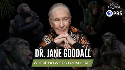 Dr Jane Goodall A Legendary Conservationist With A Message Of Hope