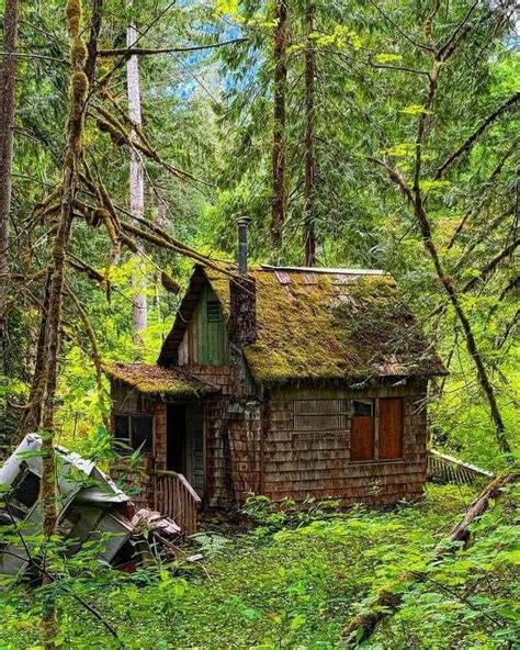 Abandoned Cabin I Found In The Woods In Tree Tent Camping