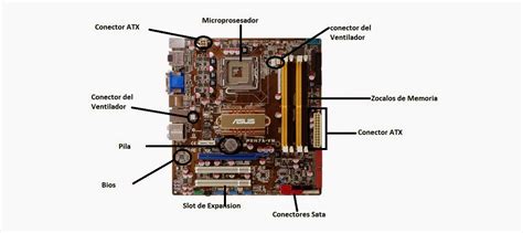 Blog De Fp Basica Del Alumno Miguel Angel Tarea Identificaci N