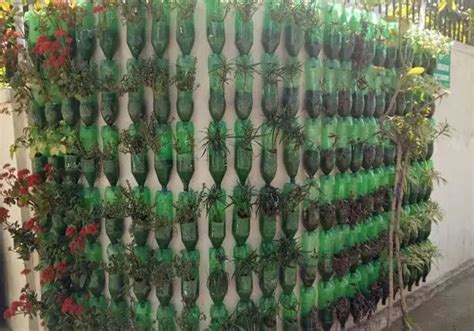 Vertical Gardening With Recycled Plastic Bottles Cool In More Ways