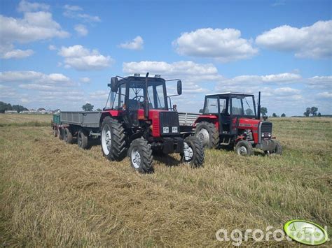 Obraz Ciagnik Belarus Galeria Rolnicza Agrofoto