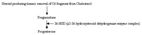 Mechanism of Action of Mifepristone and Levonorgestrel for Emergency ...