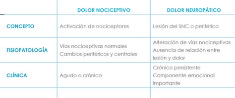 Dolor Neurop Tico Descubre Las Diferencias Entre Central Y Perif Rico