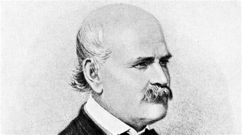 Ignace Semmelweis Le M Decin Qui Avait Compris Que Se Laver Les Mains