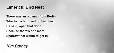 Limerick Bird Nest By Kim Barney Limerick Bird Nest Poem