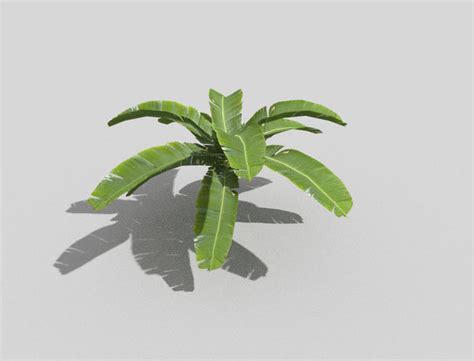 3d Model Low Poly Tropical Foliage Vr Ar Low Poly Cgtrader